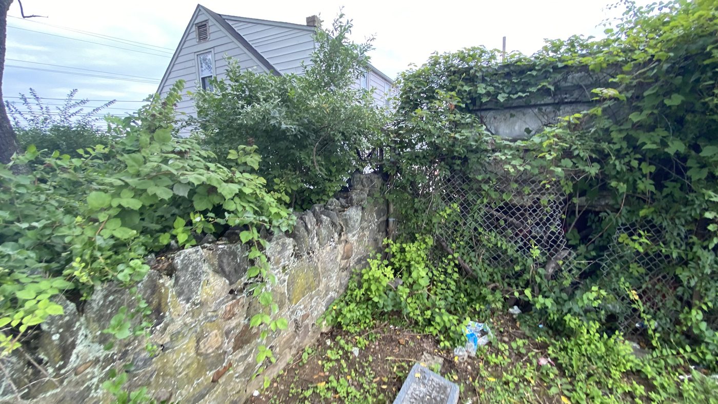 Stone wall almost hidden by vines and brush